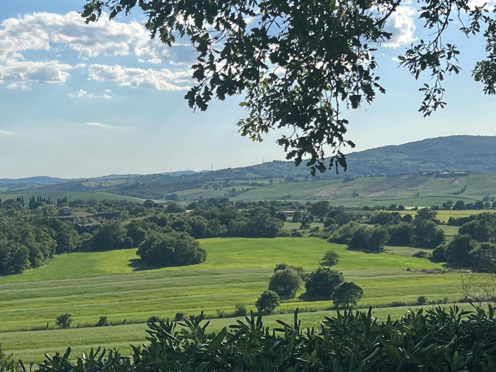 Agriturismo La Castellina 사투르니아 외부 사진