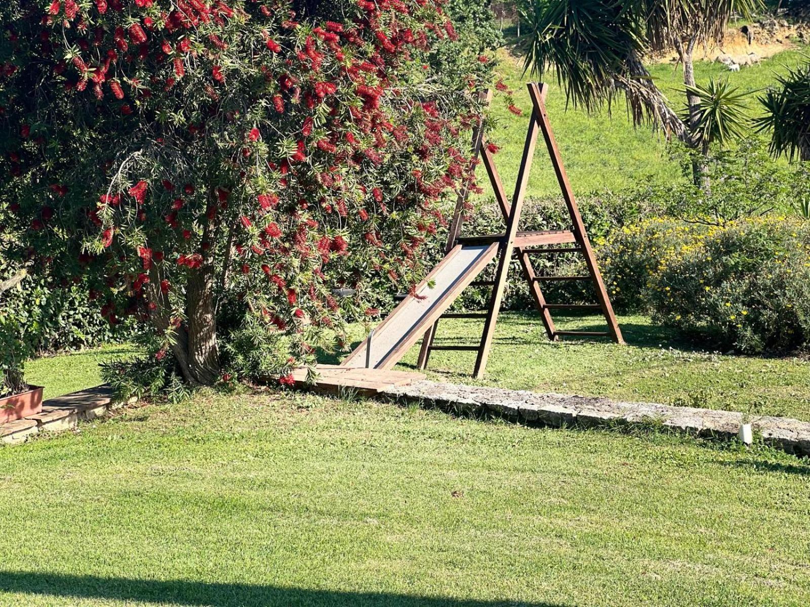 Agriturismo La Castellina 사투르니아 외부 사진