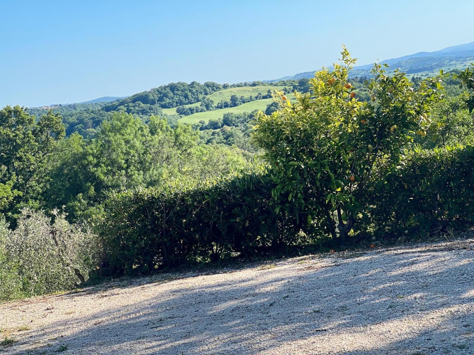 Agriturismo La Castellina 사투르니아 외부 사진