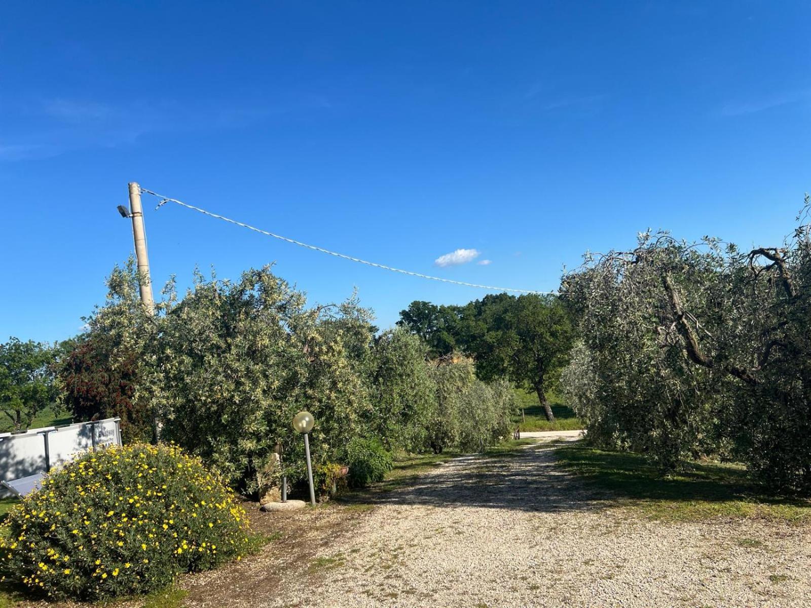 Agriturismo La Castellina 사투르니아 외부 사진